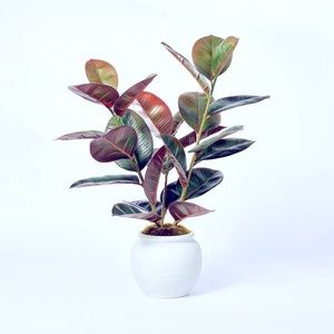 Studio McGee Faux Rubber Plant in Ceramic Pot Target Threshold